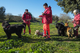 Domenica 22 gennaio Festa degli Animali nella valle della Caffarella 