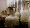 museo vino